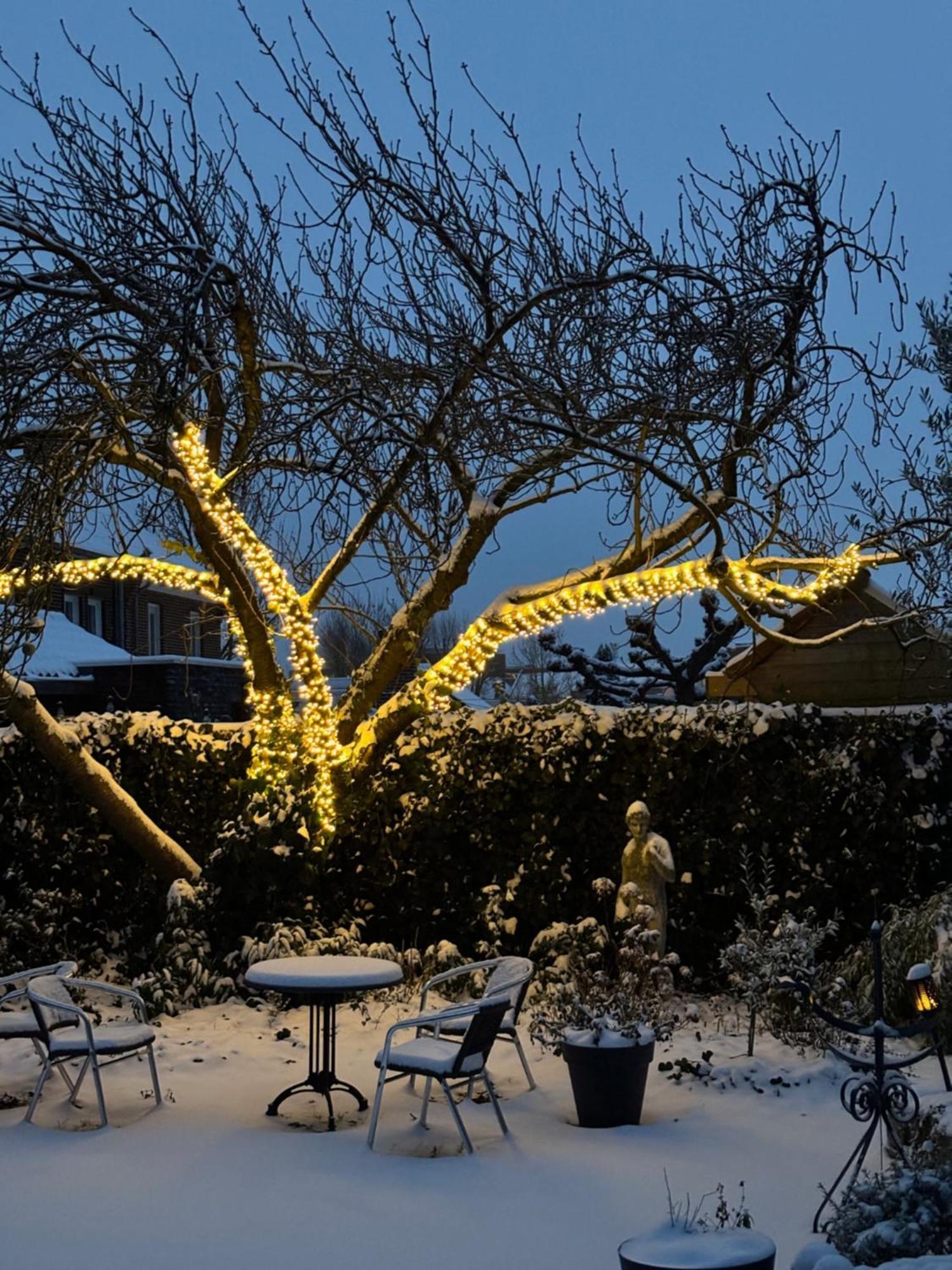 Bed and Breakfast Atalanta-Wellness Roermond 'De Wethouder' Herten Exterior foto